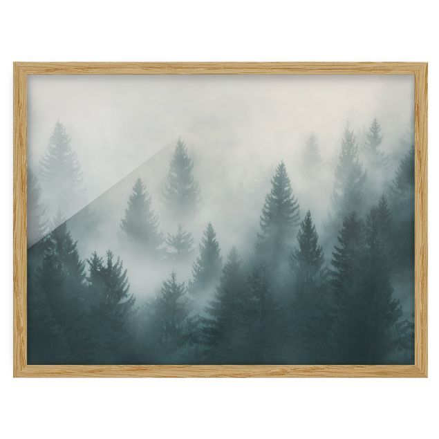 Ingelijste posters Coniferous Forest In Fog