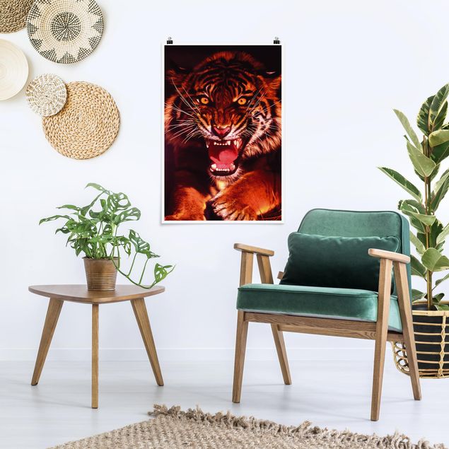 Posters Wild Tiger
