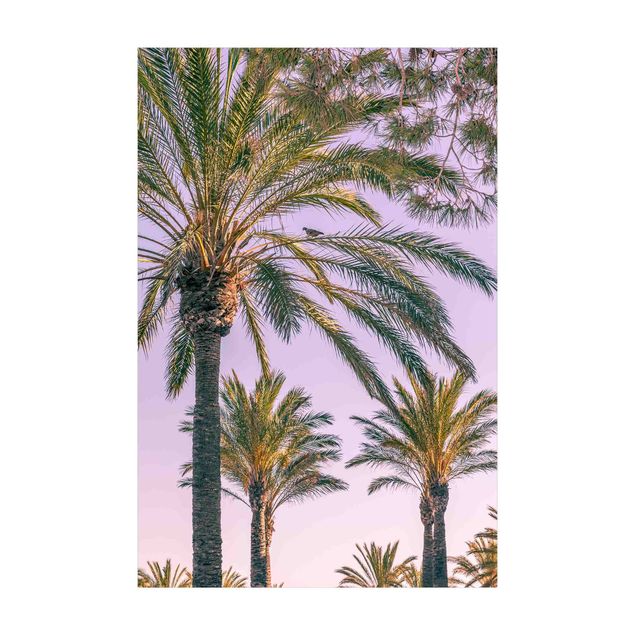 natuurlijk vloerkleed Palm Trees At Sunset