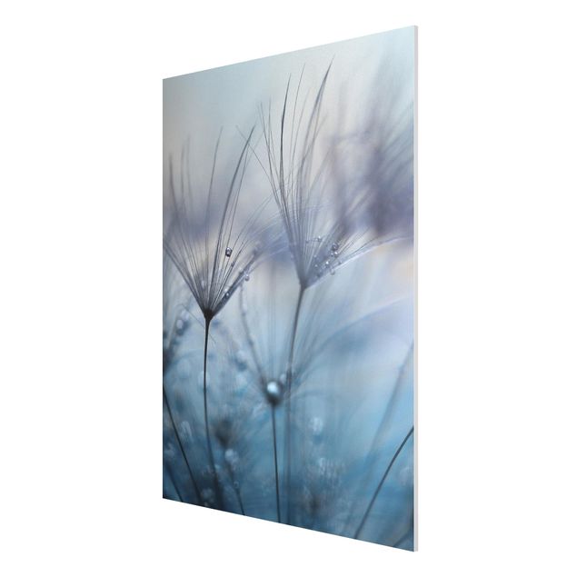 Forex schilderijen Blue Feathers In The Rain
