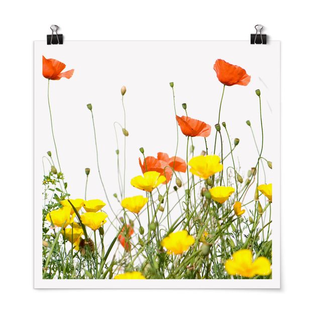 Posters Wild Flowers