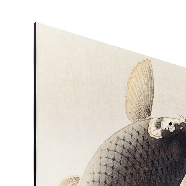 Aluminium Dibond schilderijen Vintage Illustration Asian Fish II