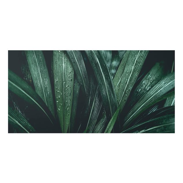 Spatscherm keuken Green Palm Leaves