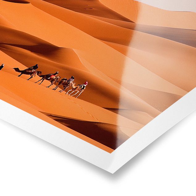 Posters Namib Desert