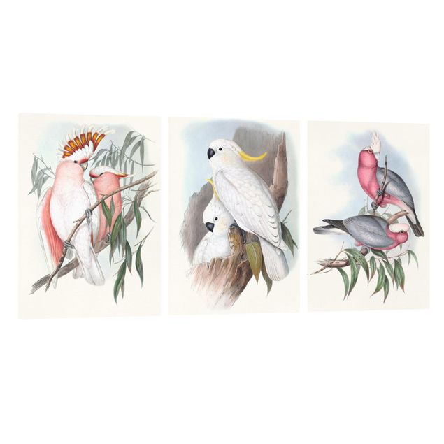 Canvas schilderijen - 3-delig Pastel Parrots Set I