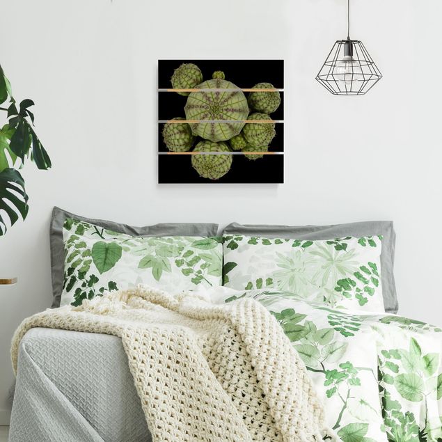 Houten schilderijen op plank Euphorbia - Spurge Urchins