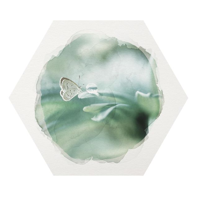 Hexagons Forex schilderijen WaterColours - Butterfly And Dew Drops In Pastel Green