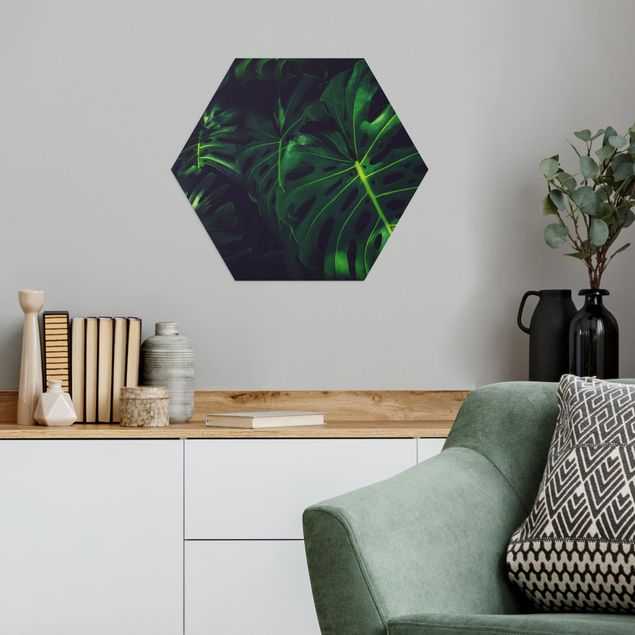 Hexagons Aluminium Dibond schilderijen Monstera Jungle