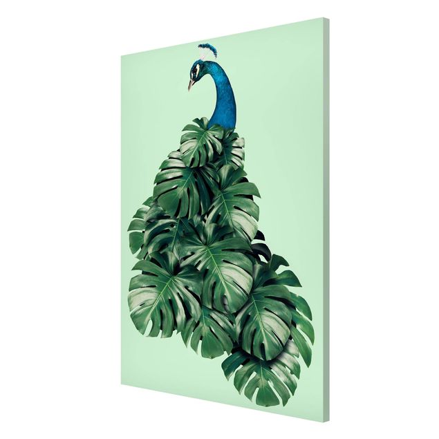 Magneetborden Peacock With Monstera Leaves