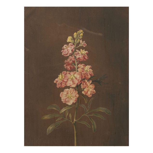 Houten schilderijen Barbara Regina Dietzsch - A Light Pink Gillyflower