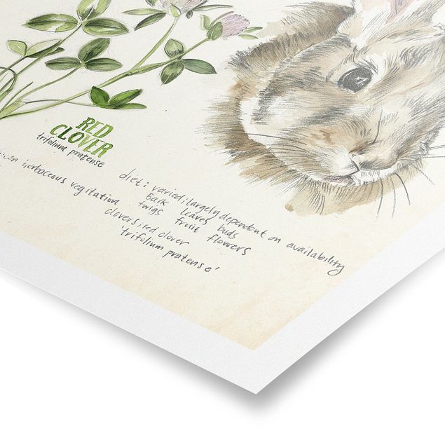 Posters Wilderness Journal - Rabbit