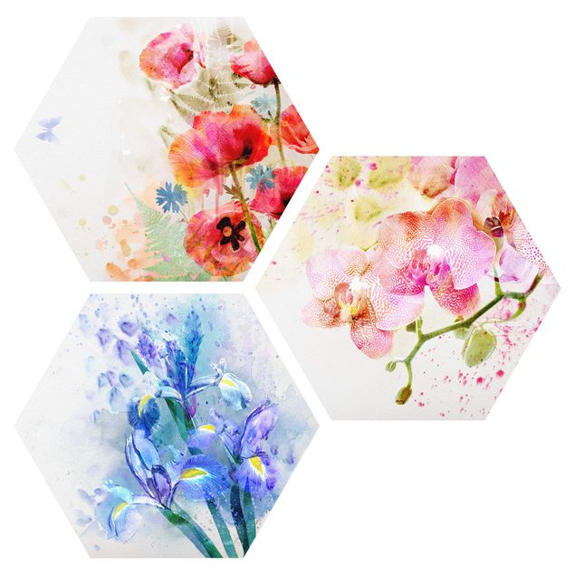 Hexagons Forex schilderijen - 3-delig Watercolour Flower Trio