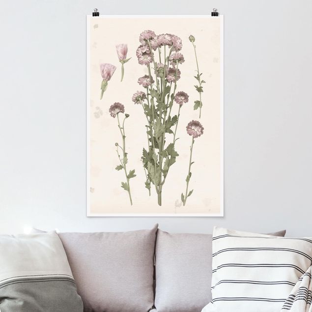 Posters Herbarium In Pink I