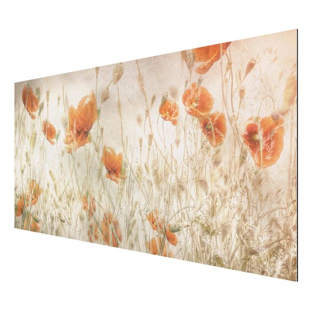 Aluminium Dibond schilderijen Poppy Flowers And Grasses In A Field
