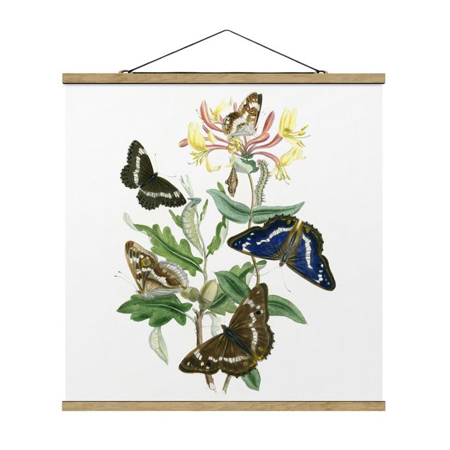 Stoffen schilderij met posterlijst British Butterflies IV