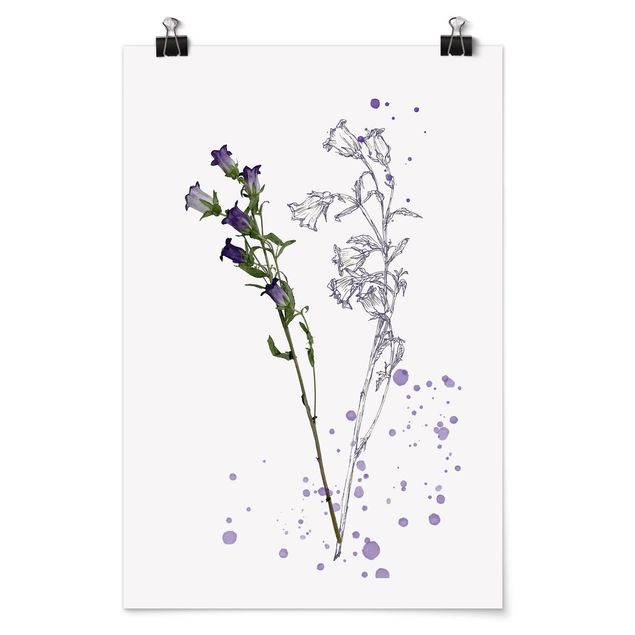 Posters Botanical Watercolour - Bellflower