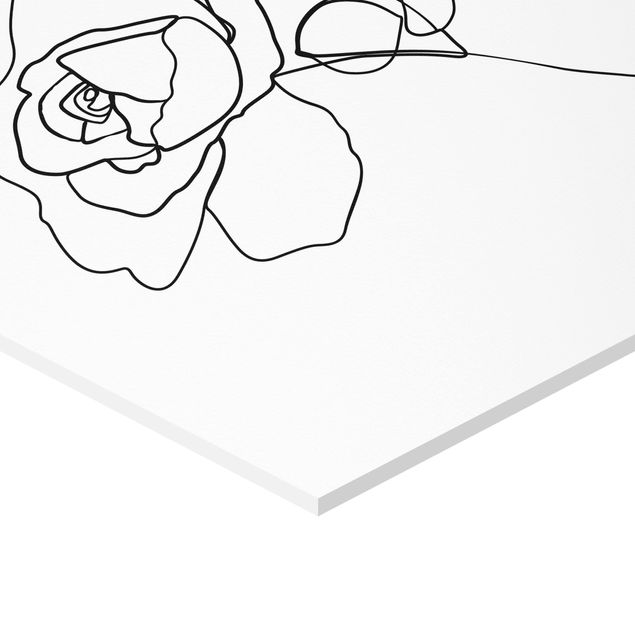 Hexagons Forex schilderijen Line Art Rose Black White
