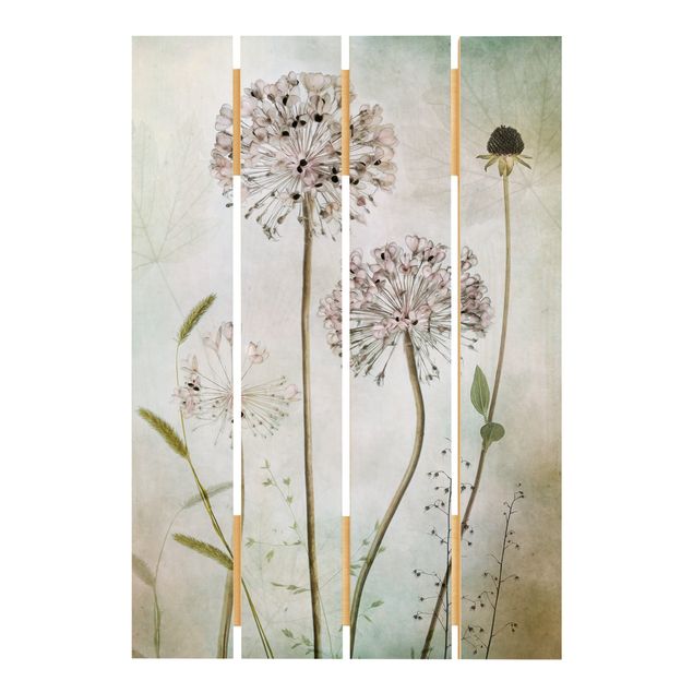 Houten schilderijen op plank Allium flowers in pastel