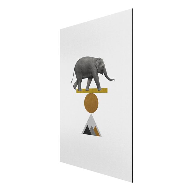 Aluminium Dibond schilderijen Art Of Balance Elephant