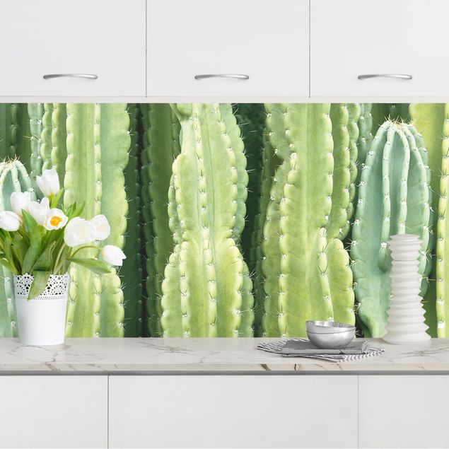 Achterwand voor keuken bloemen Cactus Wall