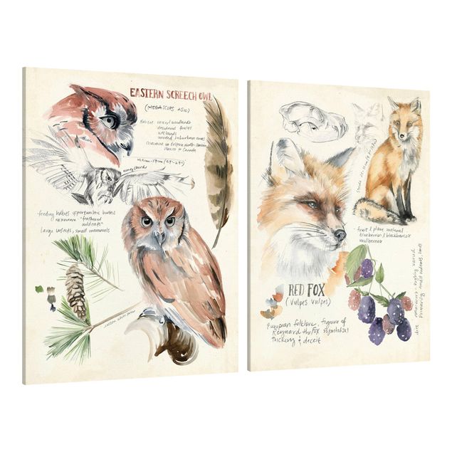 Canvas schilderijen - 2-delig  Wilderness Journal Owl And Fox Set I