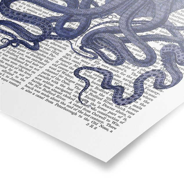 Posters Animal Reading - Octopus