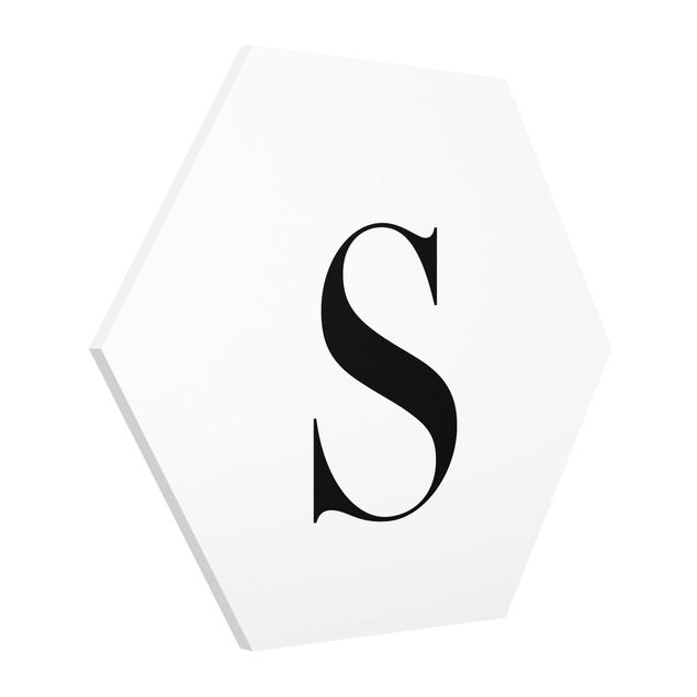 Hexagons Forex schilderijen Letter Serif White S