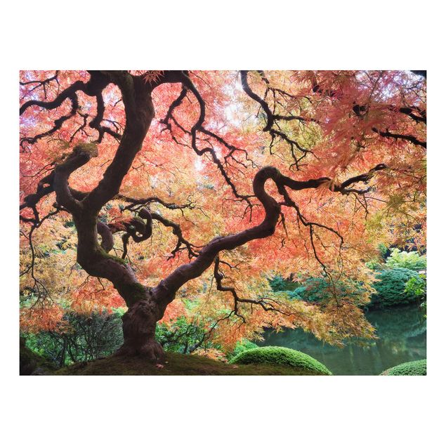 Forex schilderijen Japanese Garden