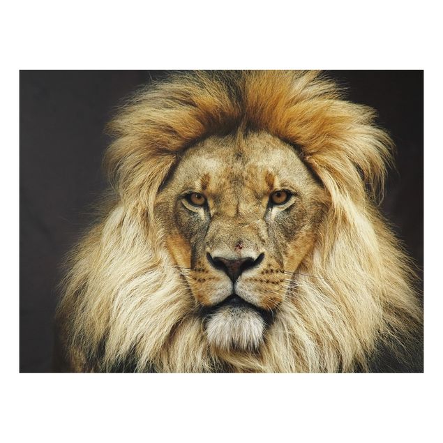 Forex schilderijen Wisdom Of Lion