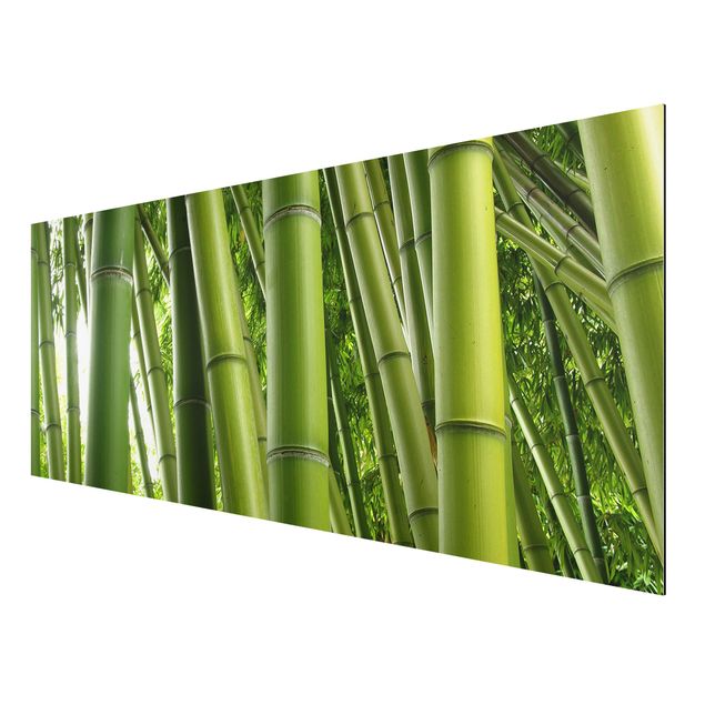 Aluminium Dibond schilderijen Bamboo Trees No.1