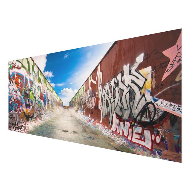 Aluminium Dibond schilderijen Skate Graffiti
