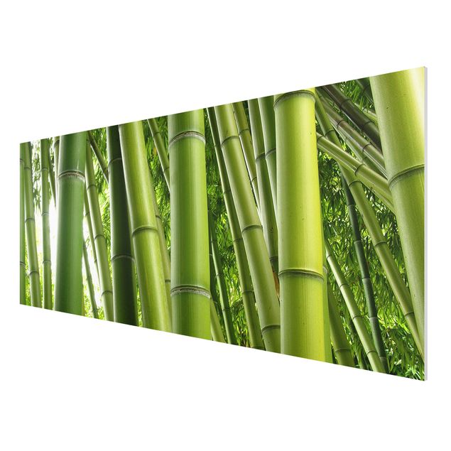 Forex schilderijen Bamboo Trees No.1