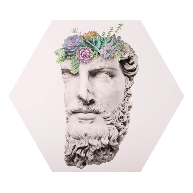Hexagons Aluminium Dibond schilderijen Head With Succulents