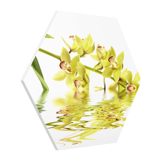 Hexagons Forex schilderijen Elegant Orchid Waters