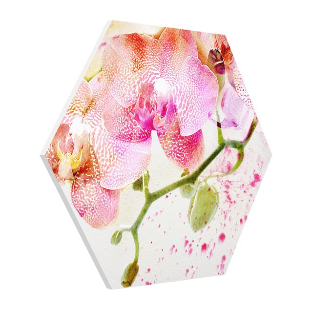 Hexagons Forex schilderijen Watercolour Flowers Orchids