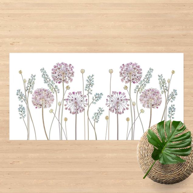 lopers Allium Illustration