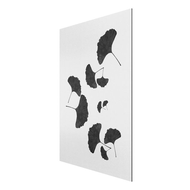 Aluminium Dibond schilderijen Ginkgo Composition In Black And White