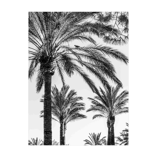 natuur tapijt Palm Trees At Sunset Black And White