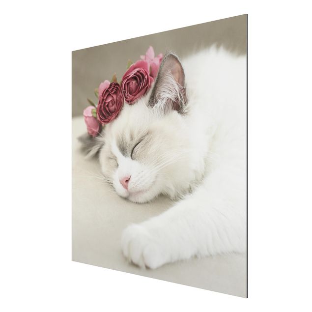Aluminium Dibond schilderijen Sleeping Cat with Roses