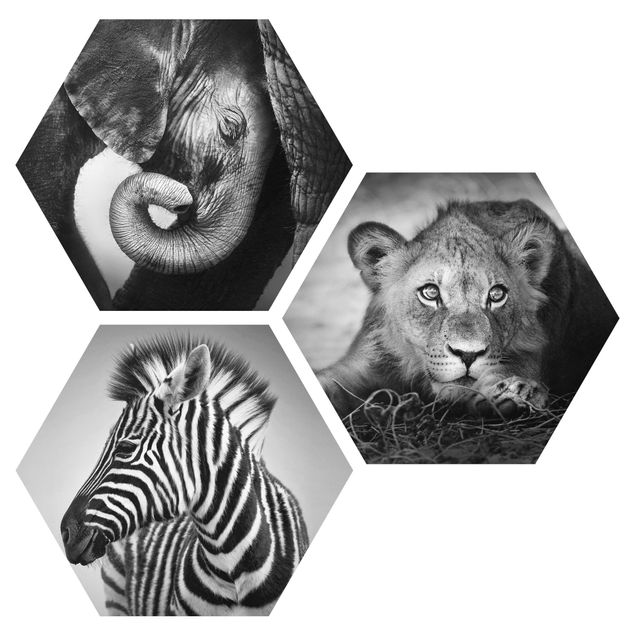 Hexagons Forex schilderijen - 3-delig Baby Animals