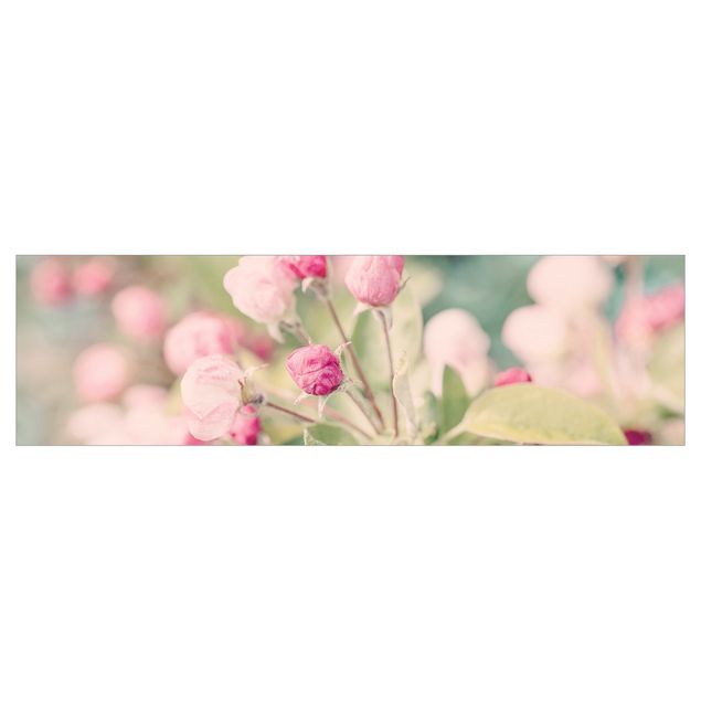 Keukenachterwanden Apple Blossom Bokeh Light Pink