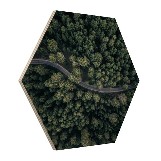 Hexagons houten schilderijen Aerial View - Forest Road From The Top