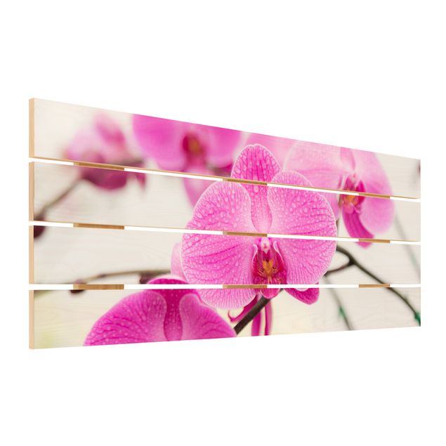 Houten schilderijen op plank Close-Up Orchid
