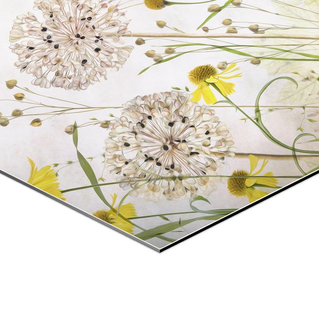 Hexagons Aluminium Dibond schilderijen Allium And Helenium Illustration