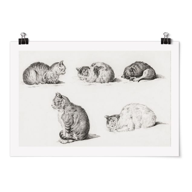 Posters Vintage Drawing Cat I