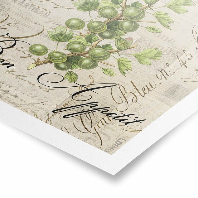 Posters Shabby Chic Collage - Gooseberry