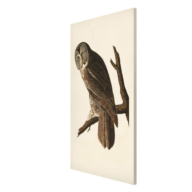 Magneetborden Vintage Board Great Owl