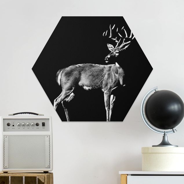 Hexagons Forex schilderijen Deer In The Dark