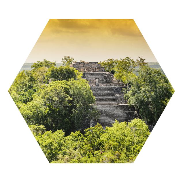 Hexagons Aluminium Dibond schilderijen Pyramid of Calakmul