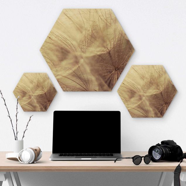 Hexagons houten schilderijen Detailed Dandelion Macro Shot With Vintage Blur Effect
